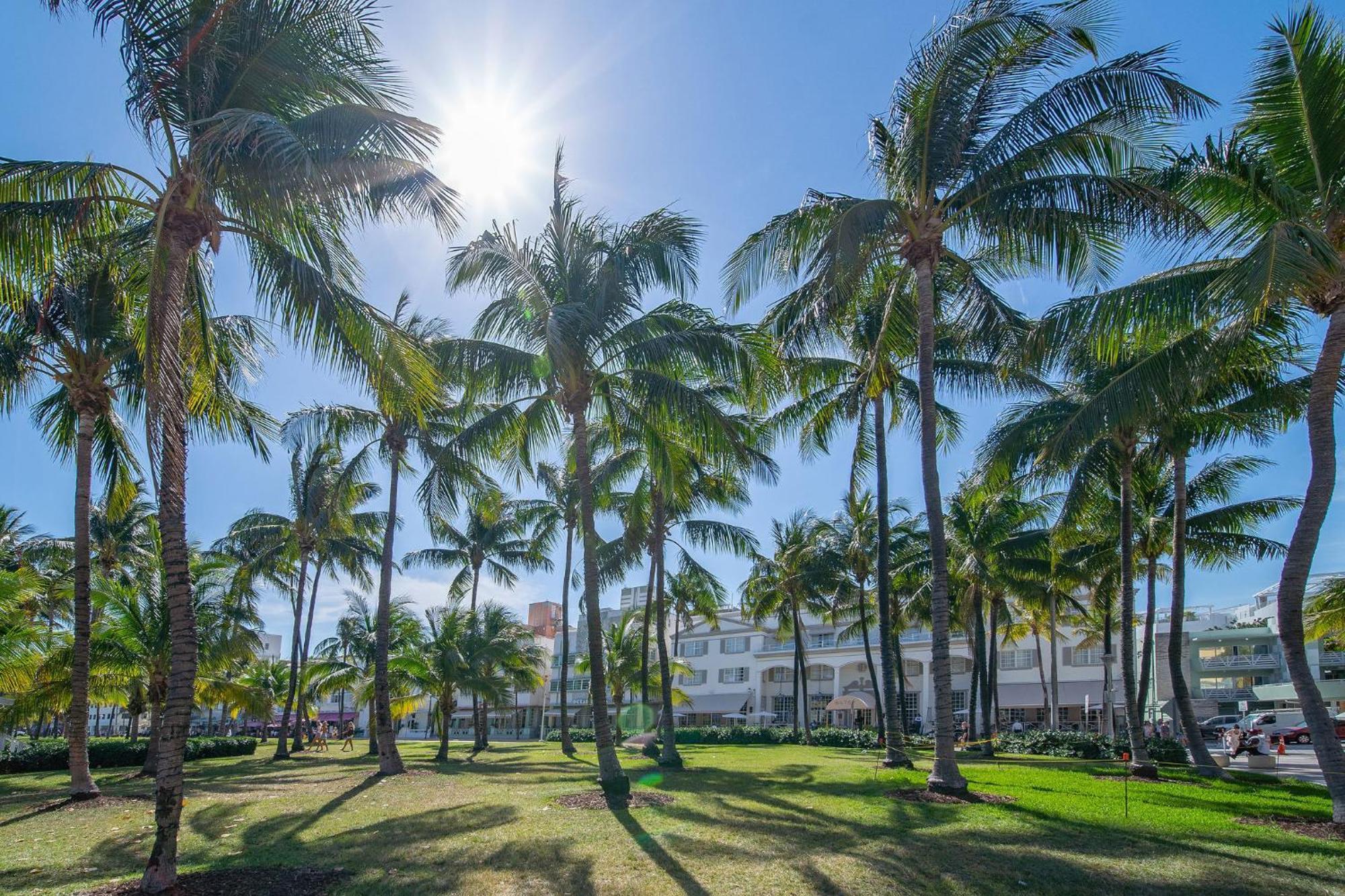 Beachy 1 B/R, W/2 Queen Beds, On Ocean Drive Beach Маямі-Біч Екстер'єр фото